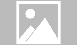 郑州碧沙岗最新爆料消息,揭秘历史遗迹背后的神秘故事