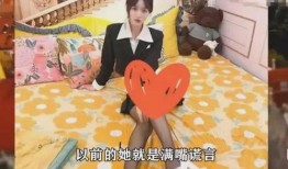 网红石头爆料视频大全最新,揭秘网络红人幕后真相