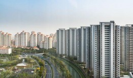 绿洲小区爆料最新消息视频,视频揭露惊人真相！