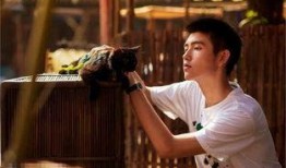 陈飞宇最新爆料微博,揭秘娱乐圈不为人知的幕后真相