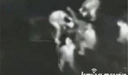 俄国最新爆料事件视频,揭秘事件背后惊人真相