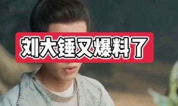 刘大锤爆料名单最新,娱乐圈风云再起