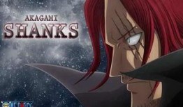 赤犬最新爆料是哪一集的,关键剧情揭晓在哪一集？